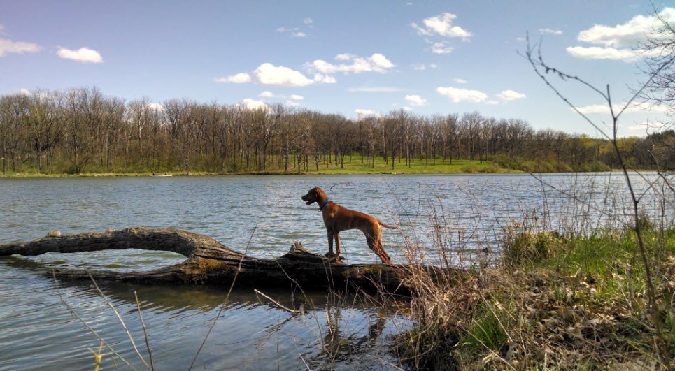 Johnson Sauk Trail State Recreation Area, Illinois, USA